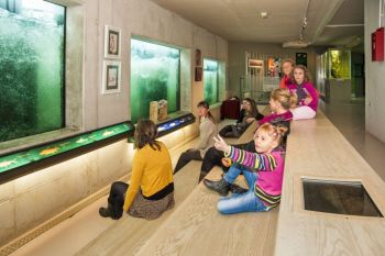 PAP Gambsheim PAP Gambsheim