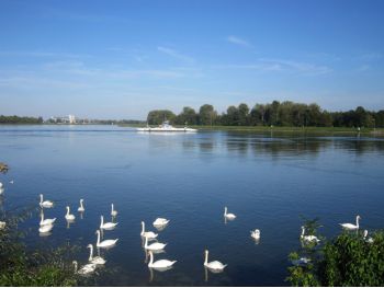 Rhin Drusenheim Rhin Drusenheim